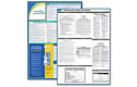 Nevada State/Fed Poster Kit